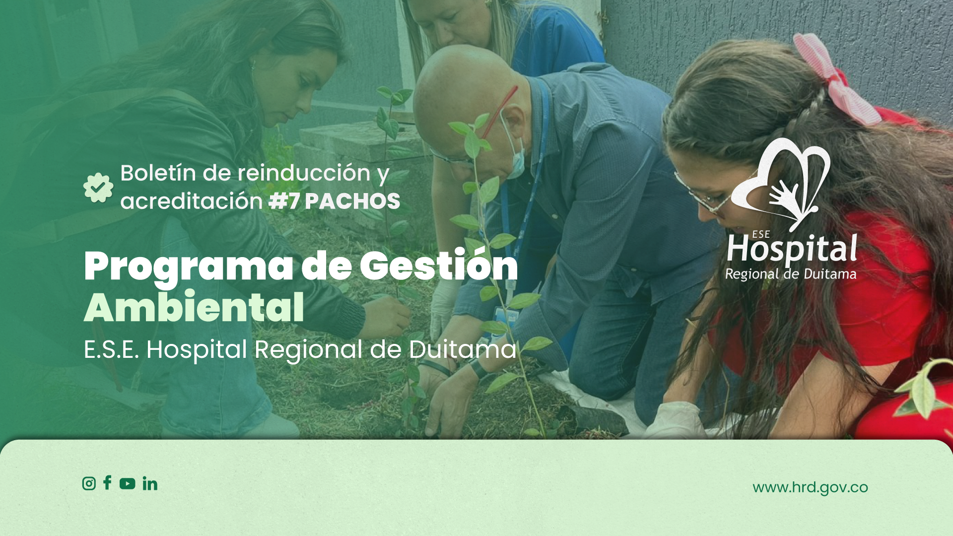 BOLETIN 7 HOSPITAL