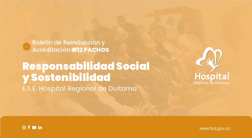 BOLETÍN 12 - RESPONSABILIDAD SOCIAL Y SOSTENIBILIDAD