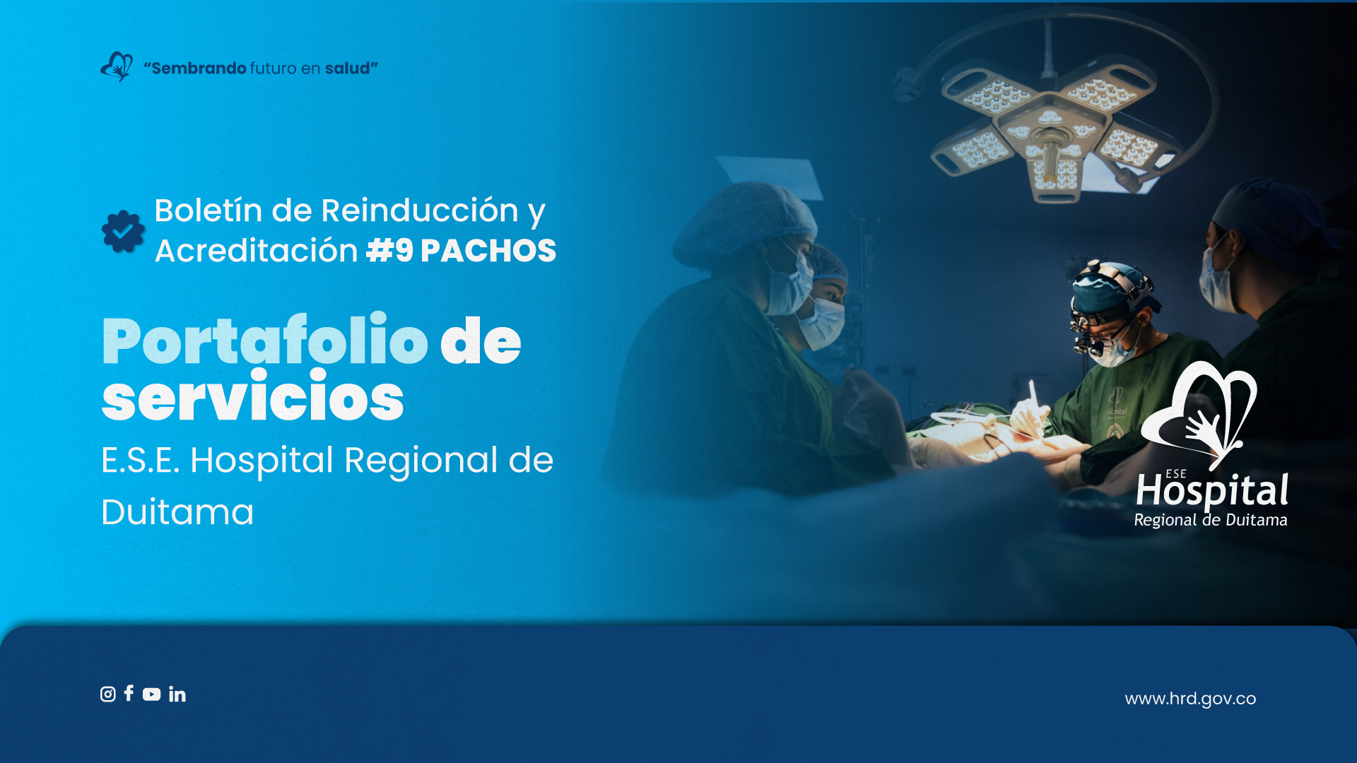 BOLETIN 9 PORTAFÓLIO DE SERVICIOS
